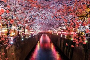 Japan’s Crypto Tax Cut Advances with Narrow Asset Scope