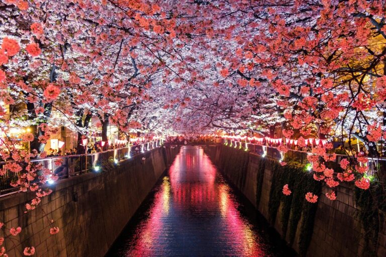 Japan’s Crypto Tax Cut Advances with Narrow Asset Scope