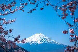 Animoca Brands Japan and RootstockLabs Target Bitcoin DeFi Adoption among Japanese Institutions
