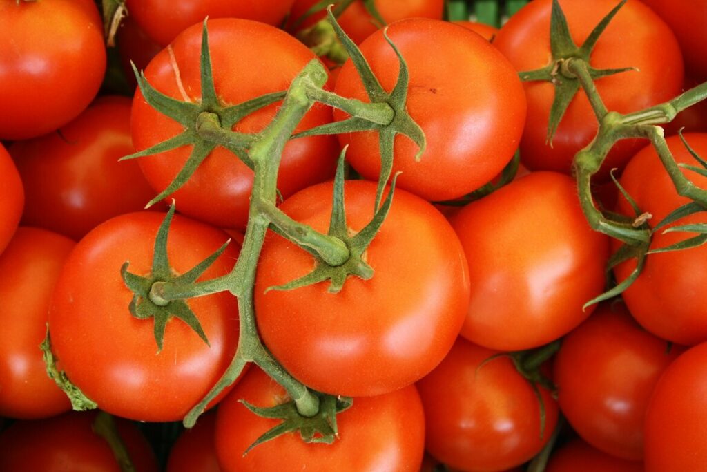 Canaan Launches Bitcoin Mining Pilot to Heat Canadian Greenhouses