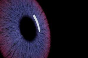 Worldcoin Up 10% as Reports Link OpenAI to Biometric Social Platform