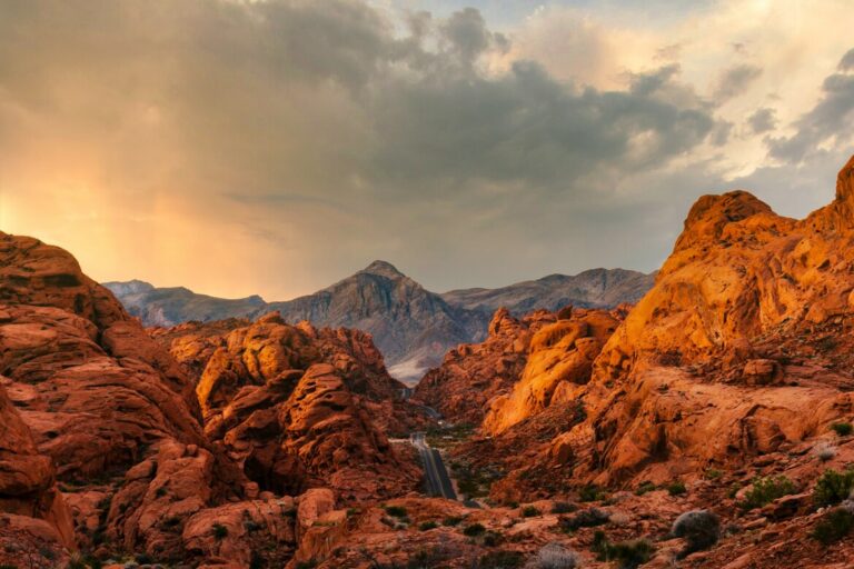 Coinbase Faces Nevada Legal Action Over Prediction Markets