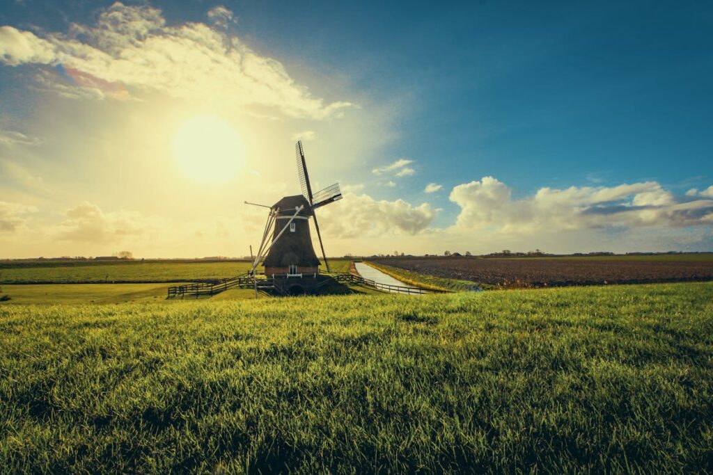 Dutch Regulators Play Whac-A-Mole as Prediction Markets Evade Polymarket Ban