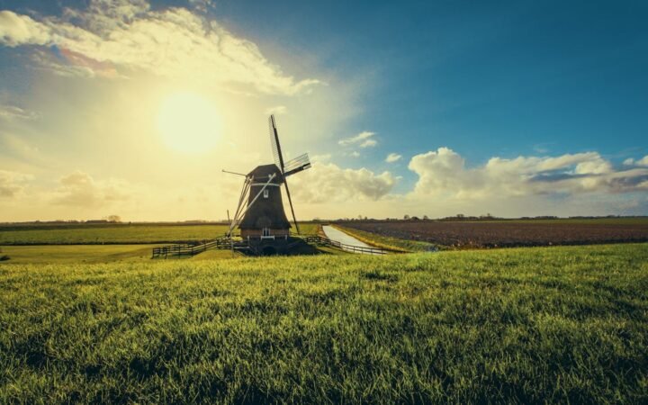 Dutch Regulators Play Whac-A-Mole as Prediction Markets Evade Polymarket Ban