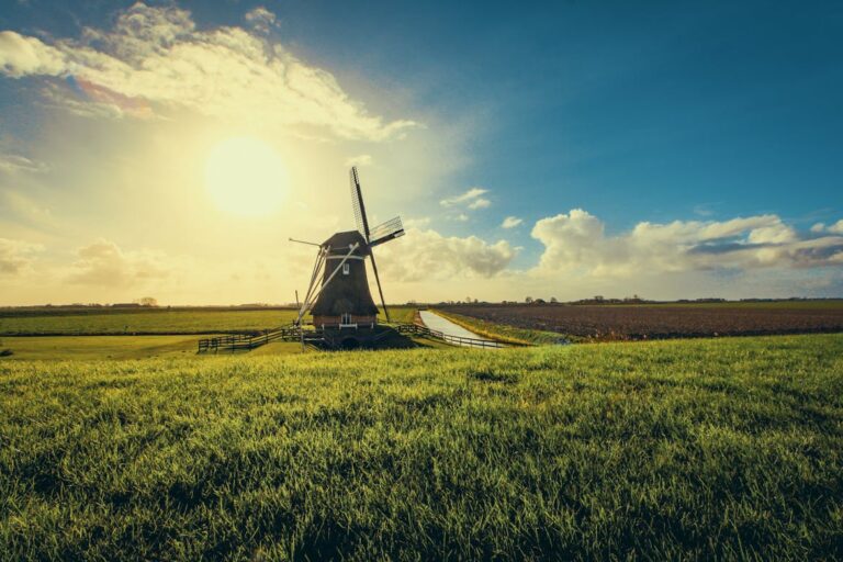 Dutch Regulators Play Whac-A-Mole as Prediction Markets Evade Polymarket Ban