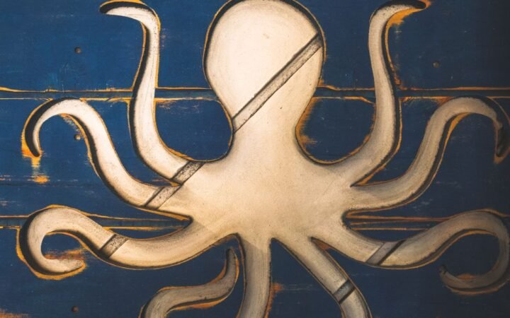 Kraken Integrates Solana DEX Trading Directly into Main Mobile App