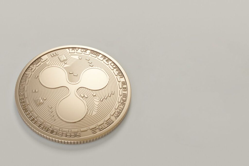 What Ripple’s ‘Something Special’ IPO Comment Actually Means for XRP Holders