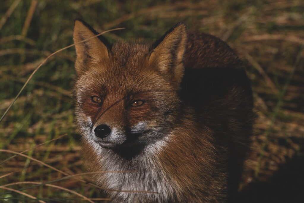 MetaMask Agent Wallet with $10K Loss Protection for AI Autonomous Trading Goes Live