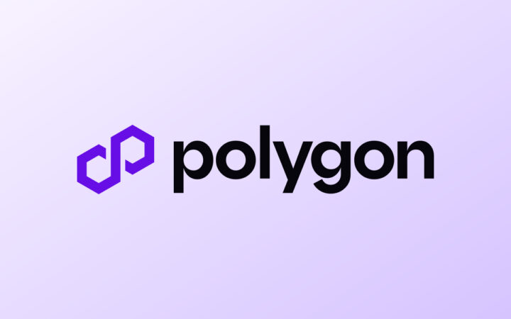 Polygon Targets Visa and Stripe’s Payments Market After Coinme Deal