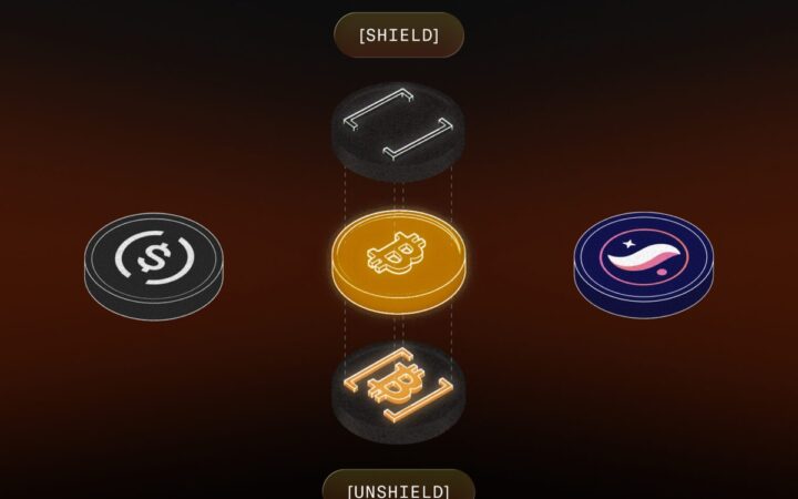 Starknet Launches Shadow Accounts to Hide Wallet Links